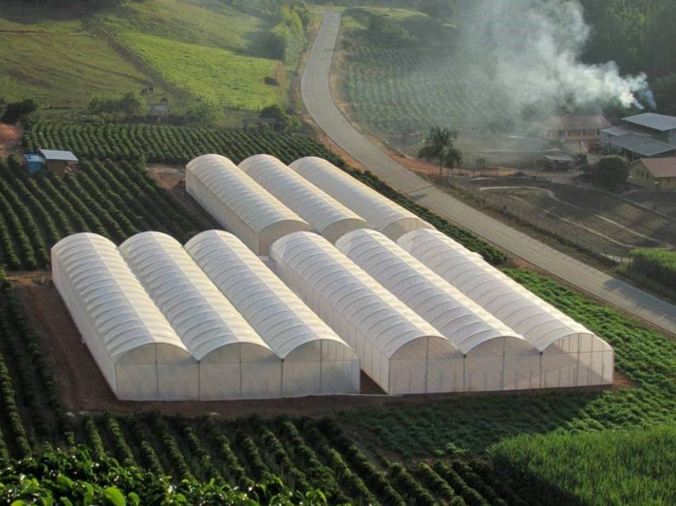 نایلون گلخانه ای