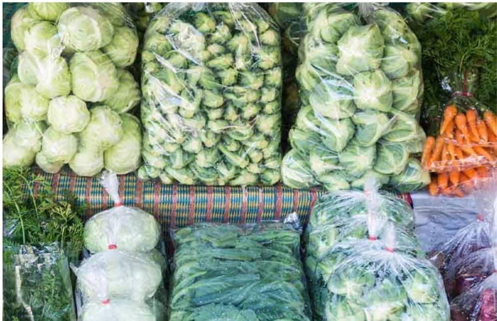 تولید نایلون خیاری در مصارف کشاورزی و باغداری